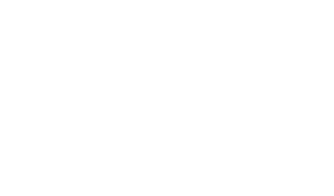 Light Logo